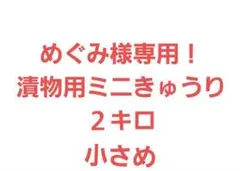 めぐみ様専用！漬物用ミニきゅうり　２キロ小さめ