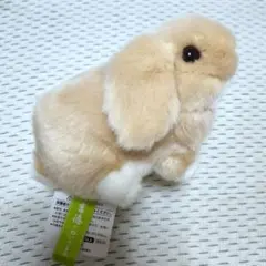 Item thumbnail for item 6d7850d6-fdcd-41fe-8afe-25800b94e7de