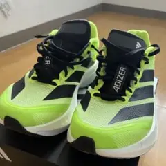 Item thumbnail for item 2a9b4fe9-9368-4fe1-857d-fb402ad1040a