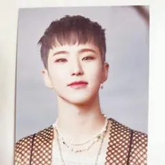 SEVENTEEN ホシ　FACE THE SUNタワレコ特典トレカ