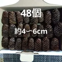 どんぐり様 リクエスト 2点 まとめ商品