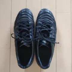 asics サッカースパイク 25.0 DS LIGHT