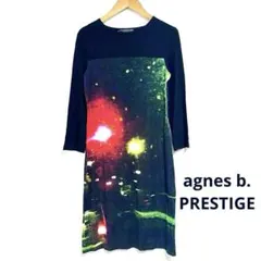 【未使用】agnès b. PRESTIGE 白鳥フォトプリント　ワンピースb4 2026年最新】アニエスベープレステージの人気アイテム - メルカリ