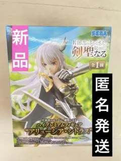 片田舎のおっさん、剣聖になる ハイプレミアムフィギュア アリューシア シトラス
