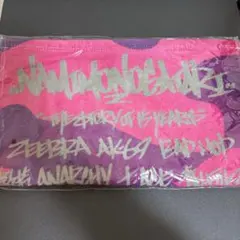 Item thumbnail for item 394a5be7-d1f3-4d24-8617-319982184d43