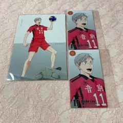 ハイキュー 灰羽リエーフ