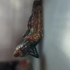 Item thumbnail for item 28cfc5e6-5035-440b-95e8-299e8af78e99