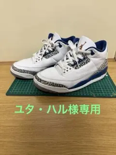 NIKEAir Jordan 3 True blue & Copper