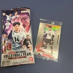男子日本代表 バレーボール ツインウエハース カード 石川祐希