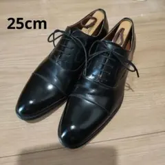 スコッチグレイン 内羽根ストレートチップ サイズ25cm - メルカリ