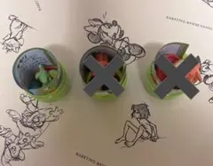 『ポケモン』　チョコエッグ　キモリ