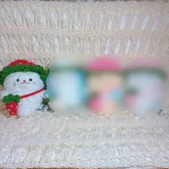 【しろたんぽてぽてマスコット用】赤いちご帽子とポシェットセット　rさま専用ページ