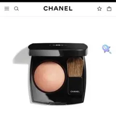 【CHANEL 】チーク ブラシ付き