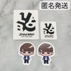 SnowMan スノーマン　渡辺翔太　スノラボ　すのチル　シール　ステッカー