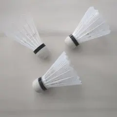 Item thumbnail for item db12c0b4-614c-4d67-beeb-6aaa6535fc4b