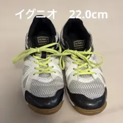 IGNIO バレーボールシューズ ホワイト 22.0cmのサムネイル