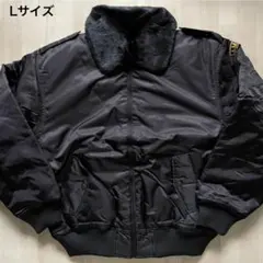 Item thumbnail for item 199359cc-9c72-4043-a702-3175fcbd5736