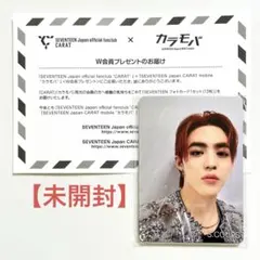 【未開封★コンプ】SEVENTEEN Ｗ会員特典 トレカ コンプ 13人