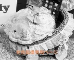 Moflin ぬいぐるみ 本体 グレー Moflin ぬいぐるみ 本体 グレー