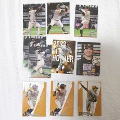 プロ野球チップス2024 福岡ソフトバンクホークス セット