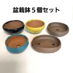 小品盆栽用鉢５個セット