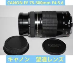 ❤即購入1000円OFF ❤キャノン Canon Kiss X5 +超望遠レンズ 2025年最新】eos kiss x5 望遠レンズの人気アイテム - メルカリ