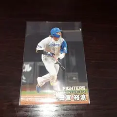 2025カルビープロ野球チップスカード第２弾 田宮裕涼カード099