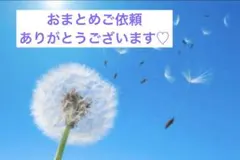 メル39078様 リクエスト 3点 まとめ商品