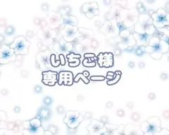 いちご様専用ページ