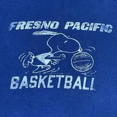 70s USA製 peanutsスヌーピー スウェット ビンテージ ラグラン