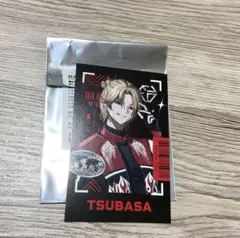 Element Sicks EL6 ツバサ フォトカード トレカ