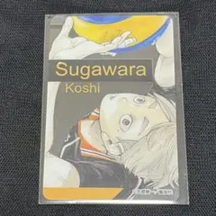 ハイキュー‼︎ ファンパーク　箔押しクリアカードコレクション　菅原孝支