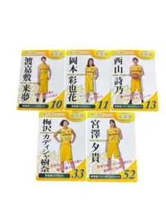 女子バスケットボールENEOSサンフラワーズ 選手ファングッズセット