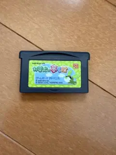 Item thumbnail for item 82e23083-d22b-445f-86ed-8b099fe3a180