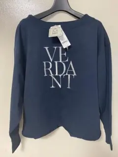 Item thumbnail for item c73370fa-d2ed-4be1-bf3a-3d237199c74c