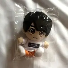 なにわ男子 大西流星 ちびぬい 第1弾