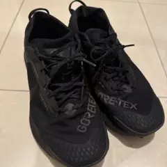 ツ*シ様 NIKE Pegasus Trail 4 GORE-TEX 28.5cのサムネイル
