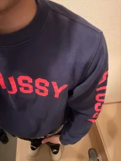 Old Stussy スウェット y2k swag 短丈