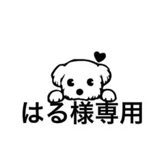 はる様　専用