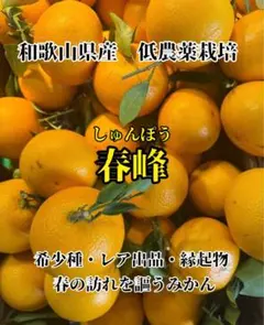 2026年最新】春峰の人気アイテム - メルカリ