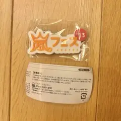 嵐 We are ARASHI 歴代ロゴマグネット 会場限定 ガチャ アラフェス