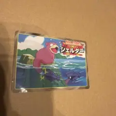 頂部 寶可夢卡牌 菊石獸 呆呆獸