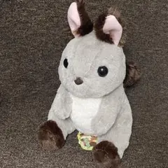 2026年最新】エゾリスの人気アイテム - メルカリ