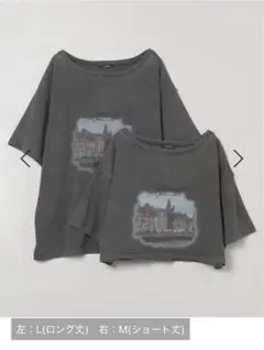 JEANASIS landscape ポートネックプリント TEE M