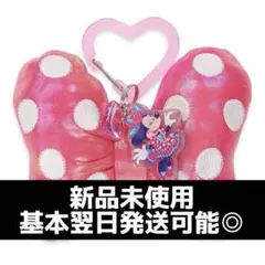 ディズニー・パルパルーザ ミニーのファンダーランド キーチェーン