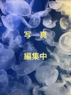 Item thumbnail for item 42f2d2a4-4bab-4568-b8b4-47fa10dca935