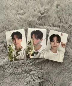 SEVENTEEN ドギョム トレカ 3枚セット