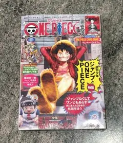 ワンピースマガジン vol.20 ルフィ 付録プロモカード付き 2冊 - メルカリ