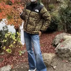 THE NORTH FACE ダウンジャケット