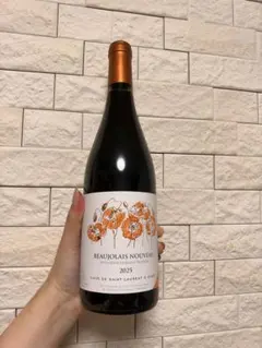 Georges Duboeuf Beaujolais Nouveau 2007 - メルカリ